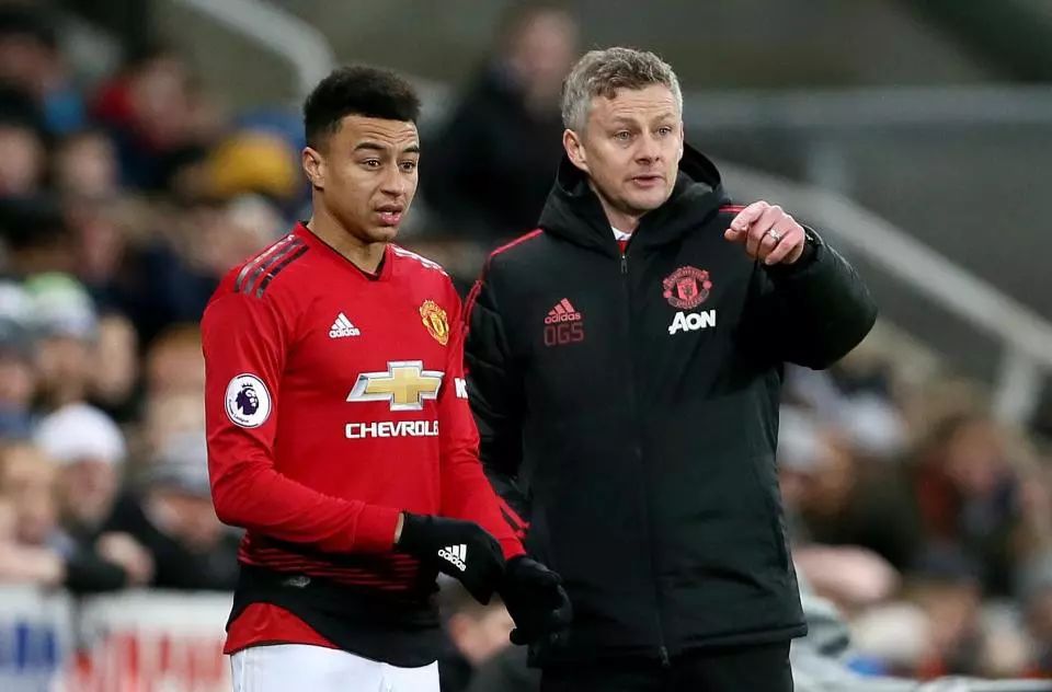 伊布闪耀的 伊布闪耀的